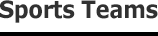 Sports Teams