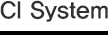 CI Stytem